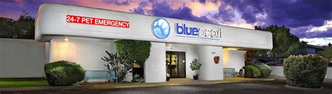 blue pearl irvine|blue pearl veterinary hospital yelp.